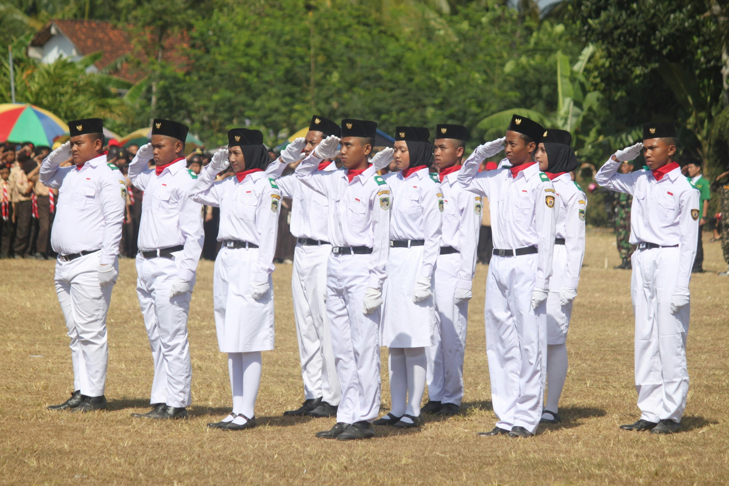 Passing-Out Salute